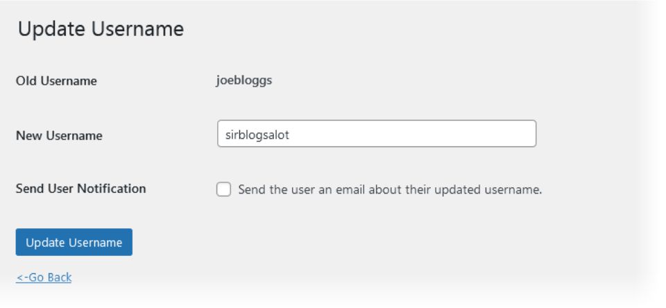 Entering a New Username with the Easy Username Updater Plugin. 