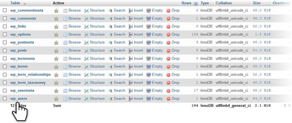 List of Tables in the WordPress Datase