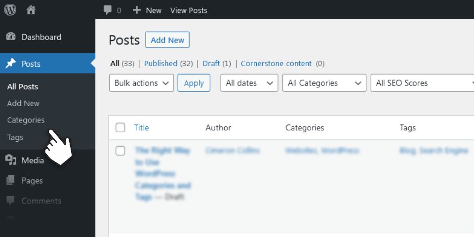 accessing the categories or tags pages from the WordPress admin area
