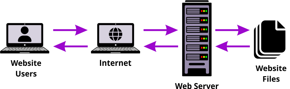 How web hosting works